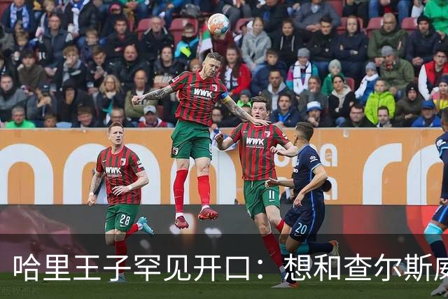 哈里王子罕见开口：想和查尔斯威廉和解，有人不希望
