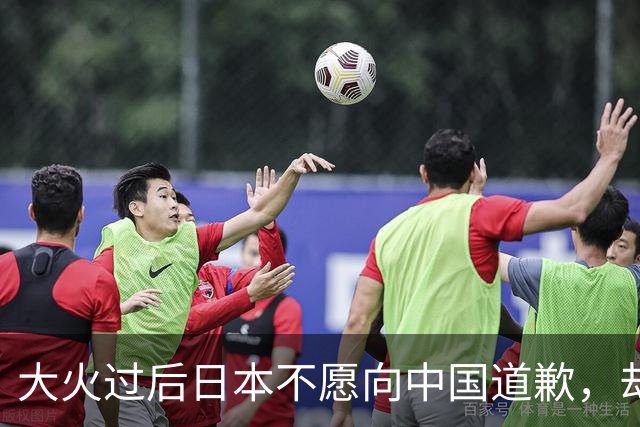 大火过后日本不愿向中国道歉，却想让美劝劝中国，给日本出口稀土