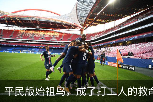平民版始祖鸟，成了打工人的救命神装
