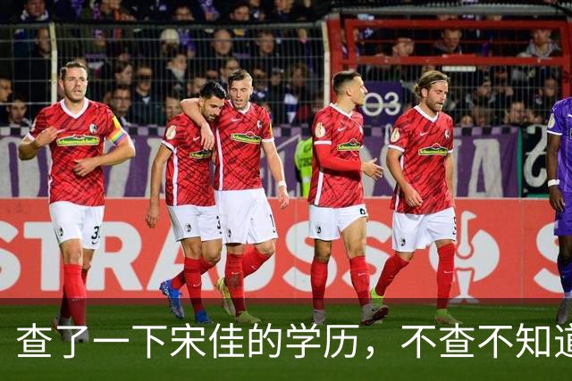 查了一下宋佳的学历，不查不知道，一查吓一跳！她竟然不是科班学表演出身的，而是学柳琴的，拿到音乐学院录取通知书才临时改行
