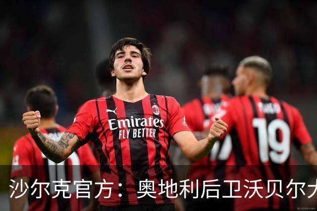 沙尔克官方：奥地利后卫沃贝尔大腿拉伤
