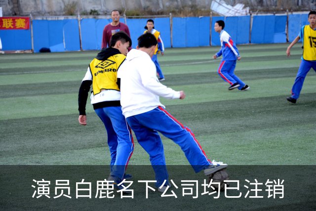 演员白鹿名下公司均已注销