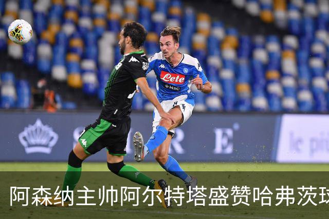 阿森纳主帅阿尔特塔盛赞哈弗茨球商出众：稳定出场，他单赛季能轰 20-25 球